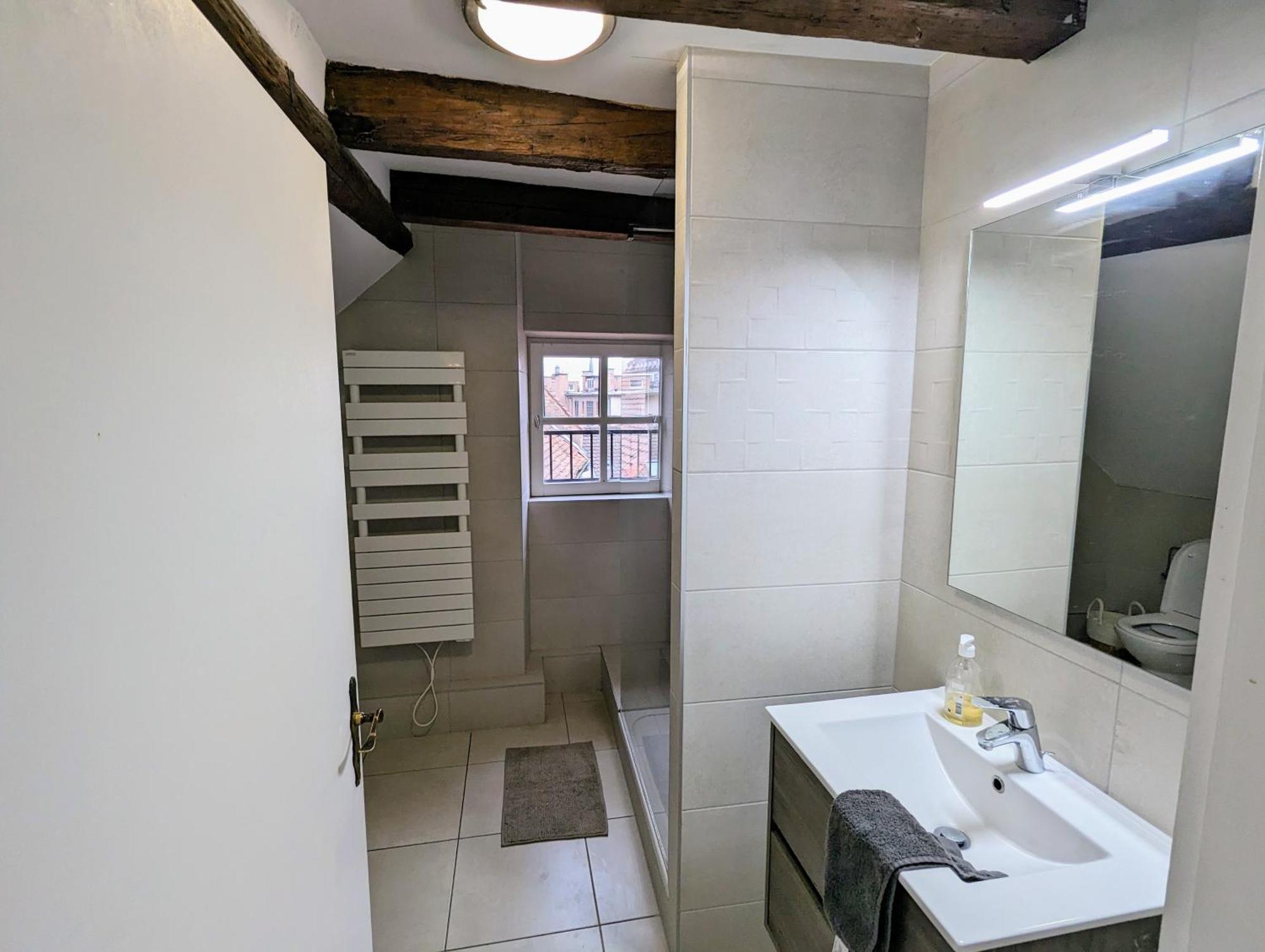Apartment Des Serruriers Strasbourg